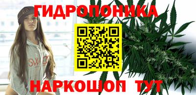 шишки Краснодар